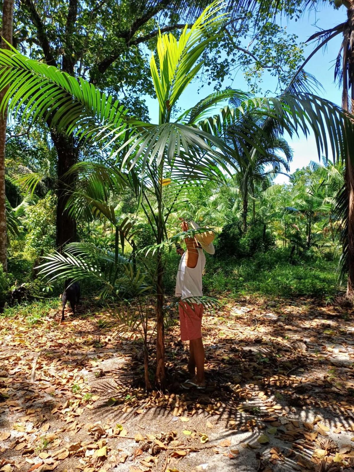 Eco Sitio O Labirinto Do Fauno Hotel มอสเกโร ภายนอก รูปภาพ
