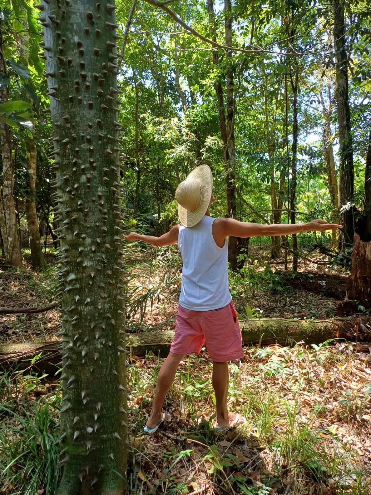 Eco Sitio O Labirinto Do Fauno Hotel มอสเกโร ภายนอก รูปภาพ