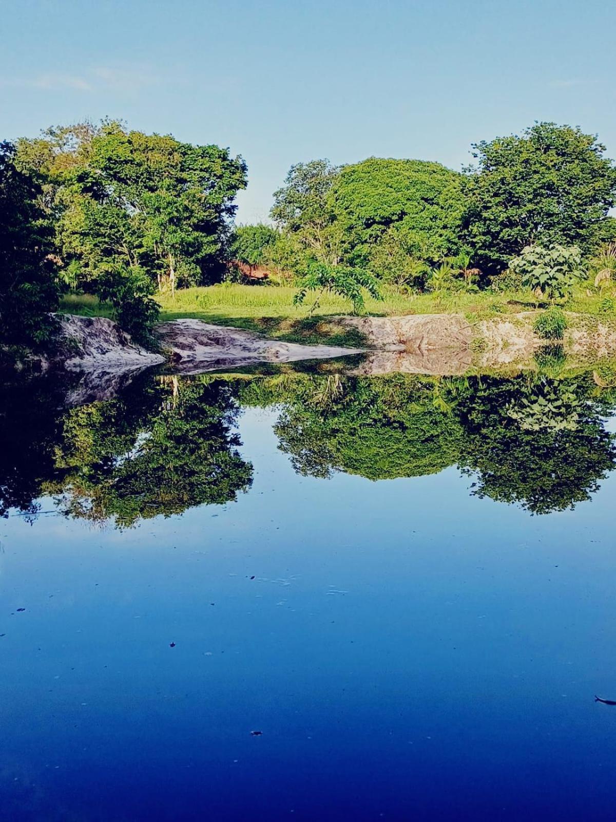 Eco Sitio O Labirinto Do Fauno Hotel มอสเกโร ภายนอก รูปภาพ