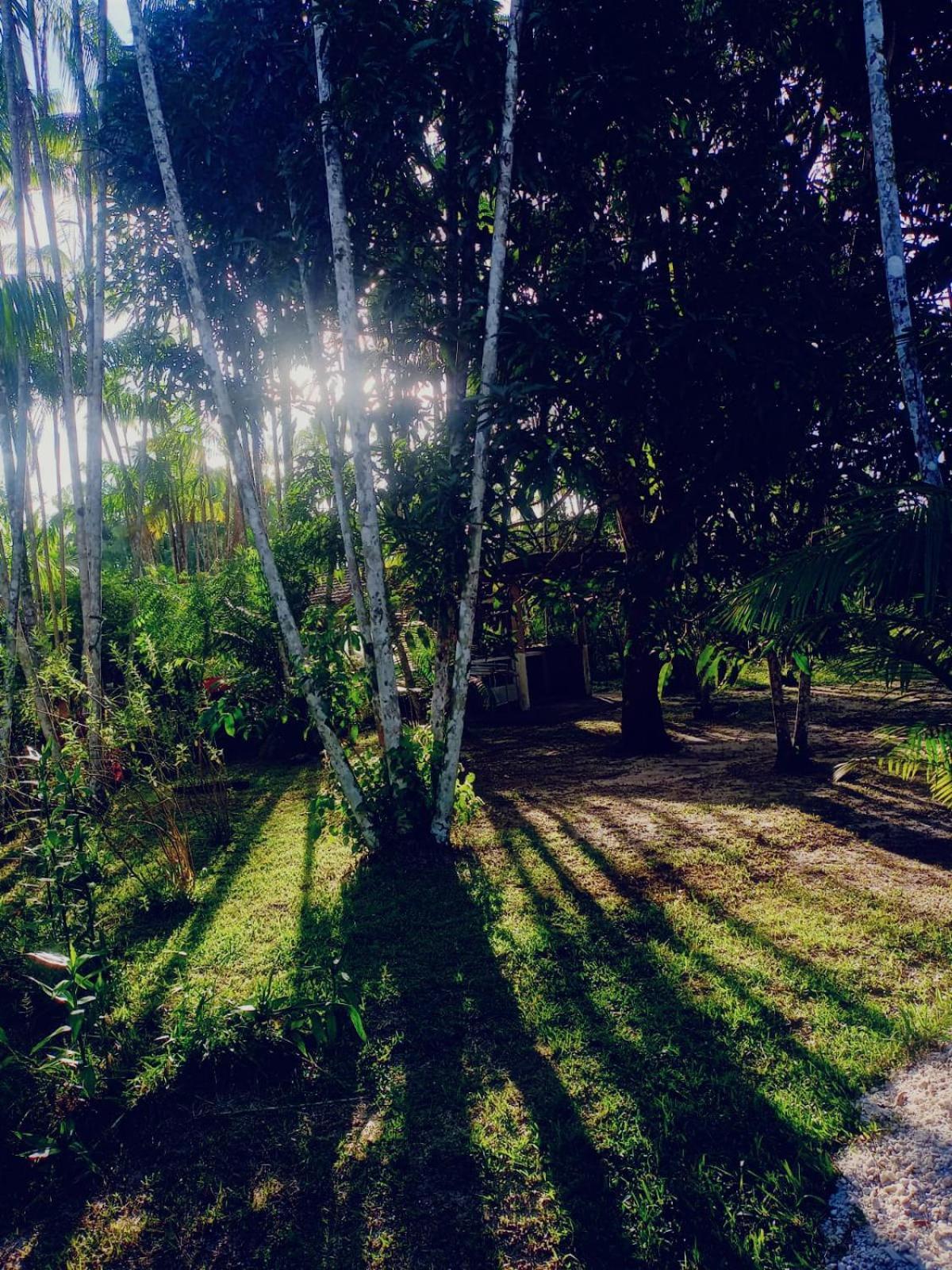 Eco Sitio O Labirinto Do Fauno Hotel มอสเกโร ภายนอก รูปภาพ